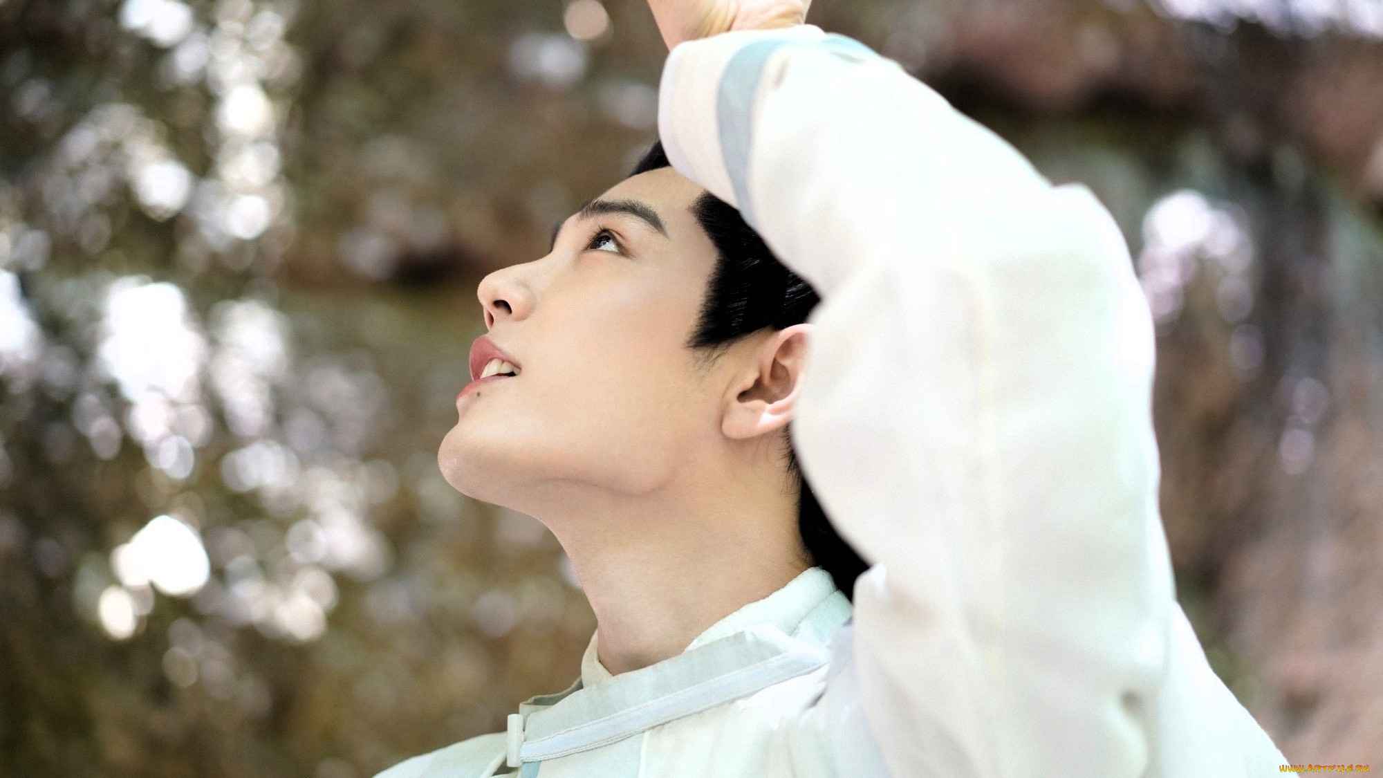  , yu gu yao, , 